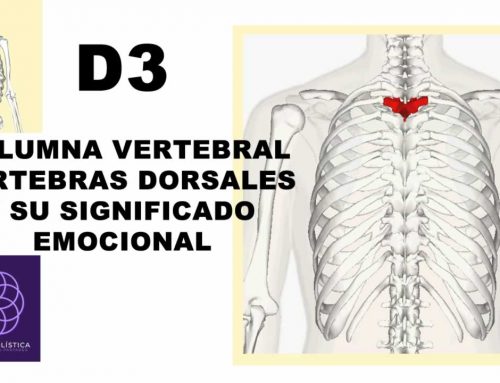 D3 – Columna vertebral – vértebras dorsales, significado emocional y formas de sanarlo