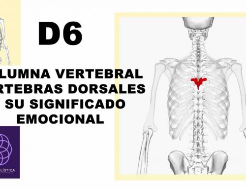 D6 – Columna vertebral – vértebras dorsales, significado emocional y formas de sanarlo