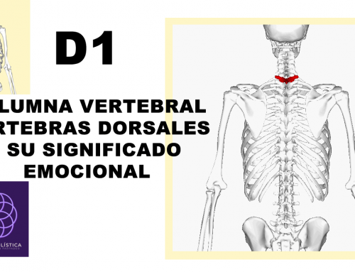 D1 – Columna vertebral – vértebras dorsales, significado emocional y formas de sanarlo
